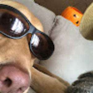 Meet your Posher, Jacob